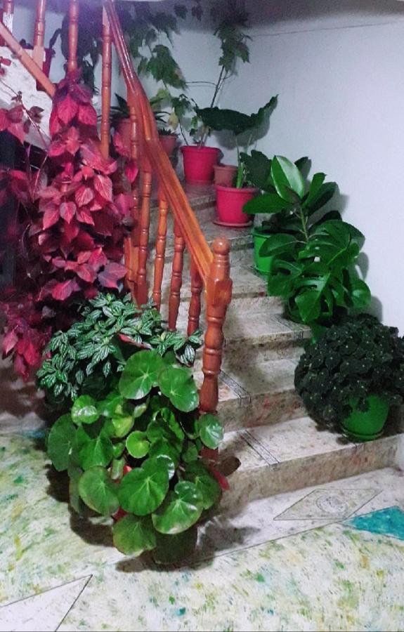 Sokolli Guest House จีโรคาสเตอร์ ภายนอก รูปภาพ